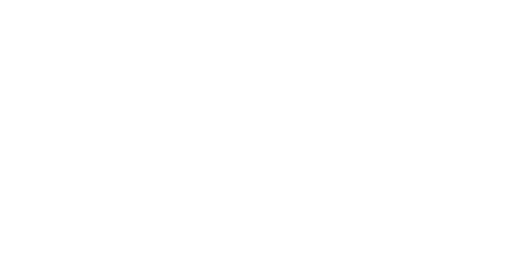 Zinc Nacional